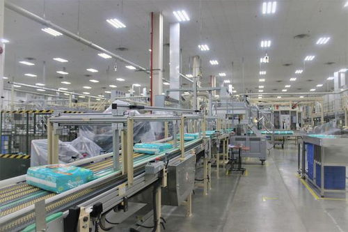 湖北高新技術產業與家政服務創新比翼齊飛，引領區域高質量發展